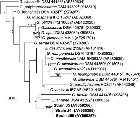 Neighbour Joining Tree Based On Nearly Complete 16s Rrna Gene Sequences