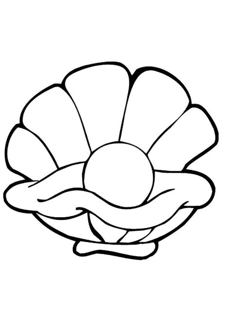 Раскраски, раскраска ракушка. Интересные раскраски. раскраска ракушка ...