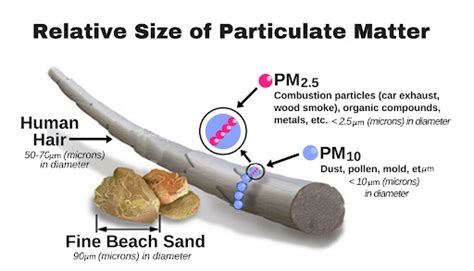 How Particulate Matter Moves And What It Does When We Ingest It — Kbmf