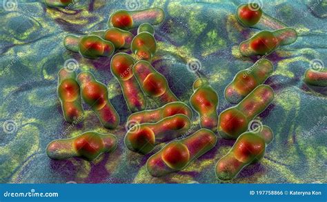 Spore Forming Bacteria Clostridium Royalty Free Illustration