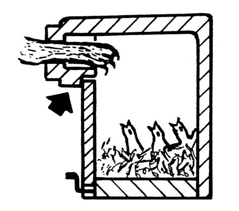 Schwegler Wendehals Nisthöhle 3SV