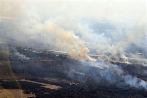 Reporte Oficial Por Los Incendios En Argentina 7 Focos Activos En