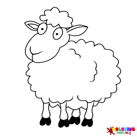 104 Sheep Coloring Pages