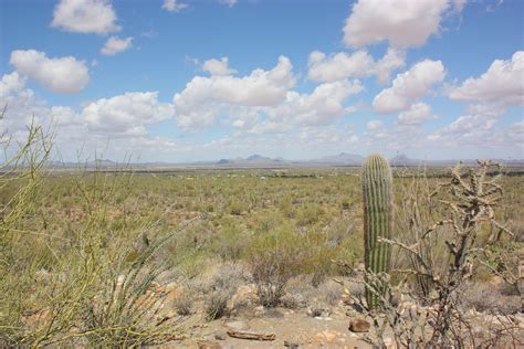 Arizona's Sonoran Desert | Travel photos, Sonoran desert, Natural landmarks