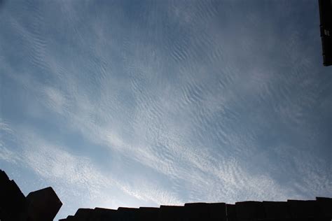 Cirrocumulus | International Cloud Atlas