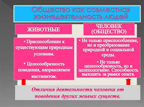 Что такое общество? Общество в узком смысле - презентация онлайн