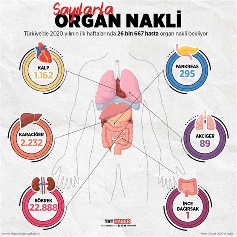 Yeni Organlarla Yeni Hayat Umudu Son Dakika Haberleri