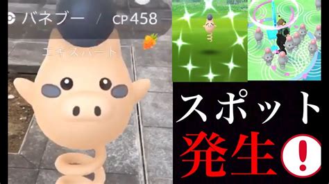 【ポケモンgo】速報！バネブー大量発生！スポットライトアワーは毎週継続！？サーナイトで連勝チャレンジ！【スポットライトアワー・goバトルリーグ