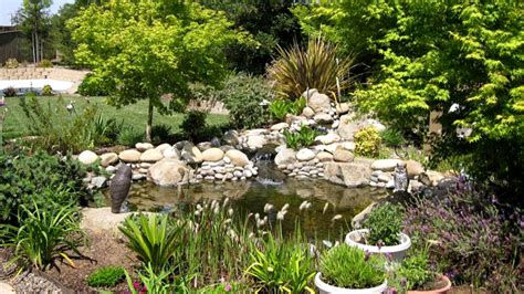 koi-pond-waterfall - Mike's Evergreen, Inc.