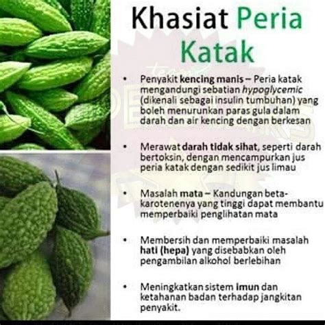 Khasiat Buah Peria John Glover