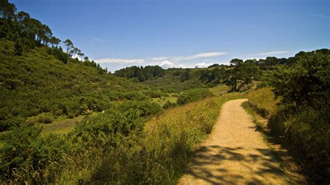 Coromandel Peninsula Photos and Slideshow | Switchback Travel