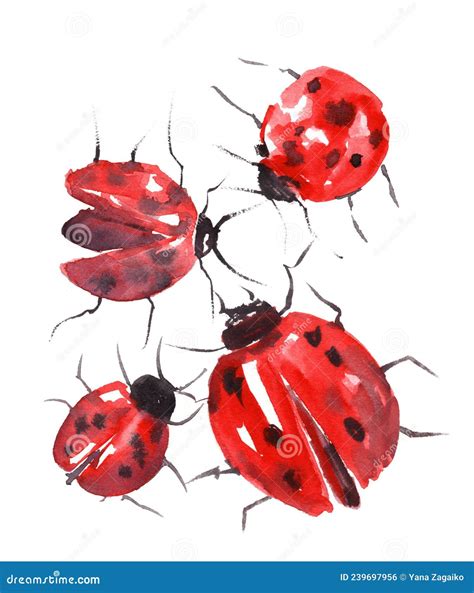 Watercolor Illustration Of Ladybugs On White Background Stock Illustration Illustration Of