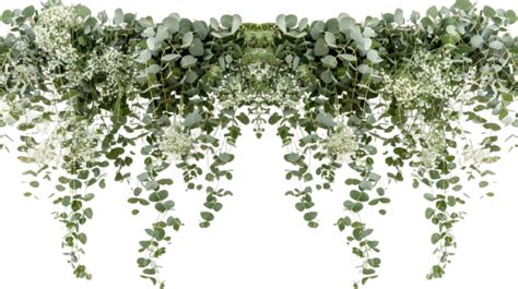 Garland Advent Wreath Wreath Decoration Christmas Png Transparent