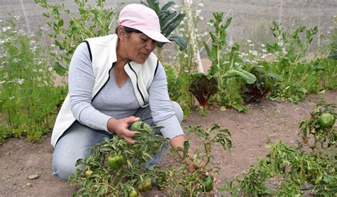 Refuerzan Asesor A E Inversiones En Predios De La Regi N De Coquimbo