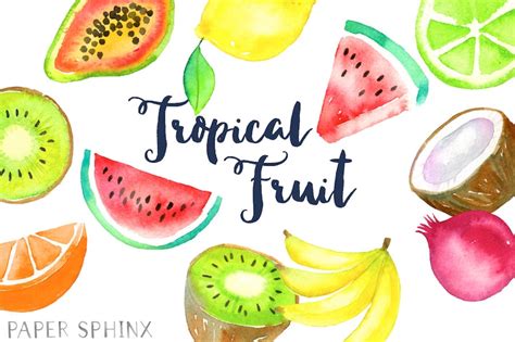 Watercolor Tropical Fruit Clipart Fruit Clip Art Etsy