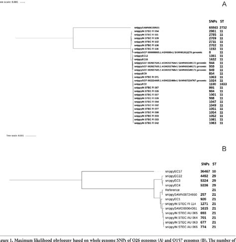 Figure 1 From Whole Genome Sequencing Based Typing And Characterisation