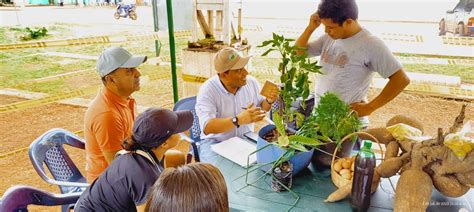 El Vichada Se Proyecta Como La Nueva Despensa Alimentaria Del País