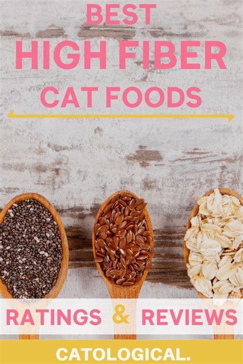 The Best High Fiber Cat Food Reviewed And Rated Best Cat Food High