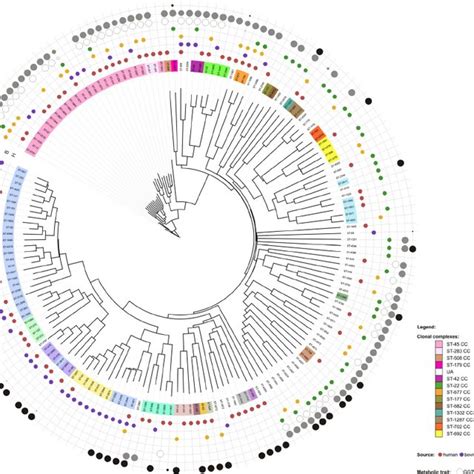 Neighbor Joining Unrooted Circular Dendrogram Clustering Of C Jejuni