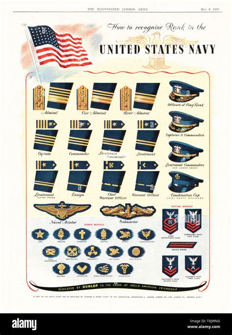 Navy Military Ranks And Insignia