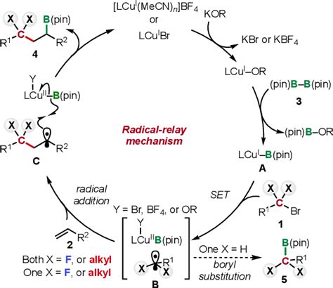 Figure 1 From A Copper I Catalyzed Radical Relay Reaction Enabling The