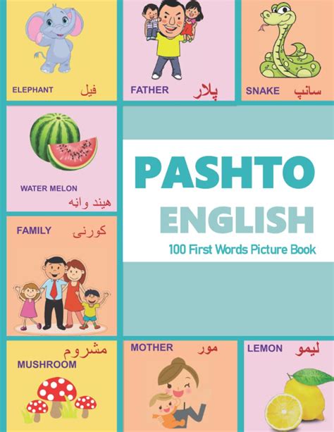 Buy Pashto English First Words Picture Book Pashto To English