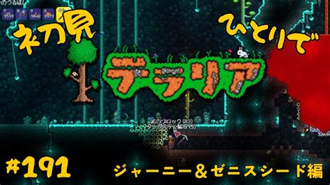 【テラリア】右も左もわからないが神ゲーらしい 191 Youtube