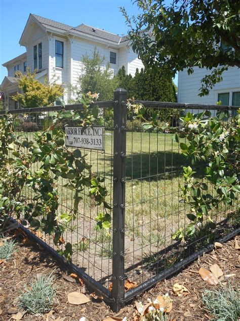 2×4 Welded Wire Arbor Fence Inc A Diamond Certified Company