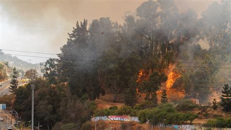 Hay Más De 40 Incendios Forestales A Nivel Nacional ¿qué Comunas