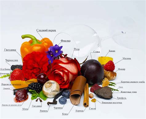 Пино нуар: что это, описание сорта винограда