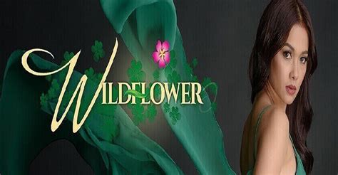 Wildflower Season 1 Watch Full Episodes Streaming Online