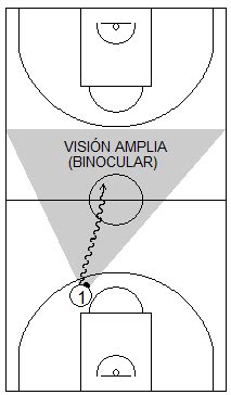 Descubrir Imagen Fundamentos Ofensivos Y Defensivos Del Basquetbol