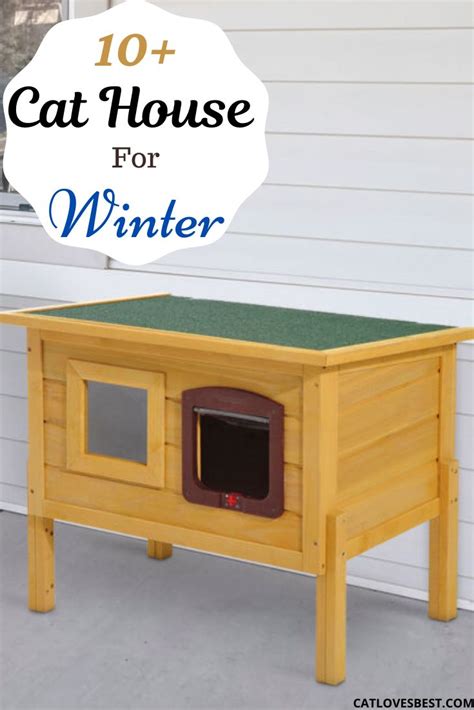 Outdoor cat house for winter - Must have in winters | Katzenschlafplatz ...