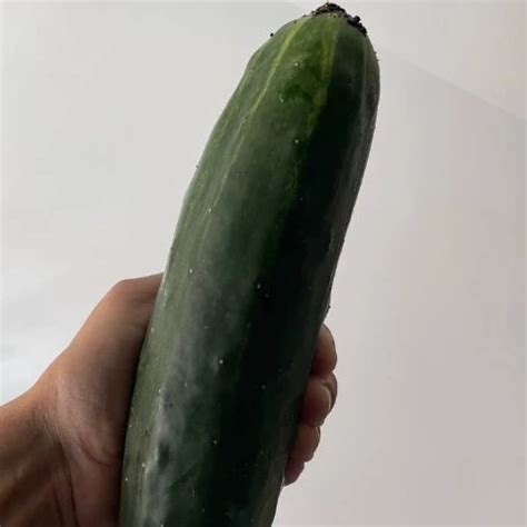 Public Ass Cleaner Funny Funny Porn XHamster