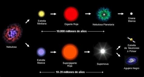 Pin On Ciencia