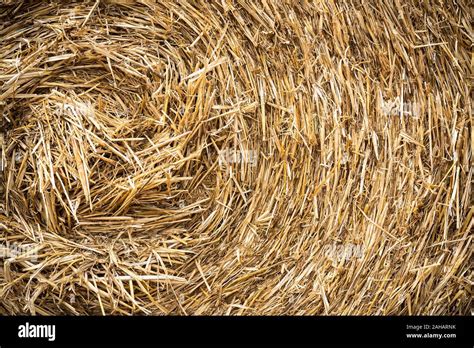 Rolled Hay Pattern Dried Hay Texture Stock Photo Alamy