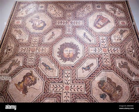 Mosaico Romano De Medusa Y Las Estaciones Origen Palencia Museo