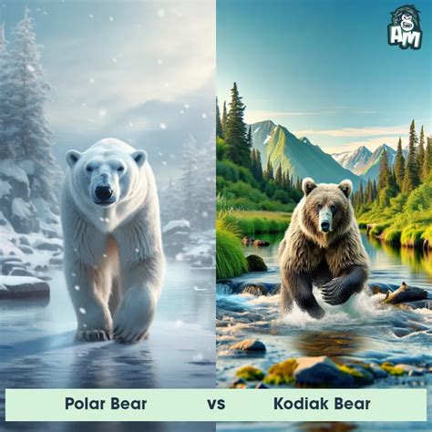 Grizzly Bear vs Polar Bear: See Who Wins | Animal Matchup