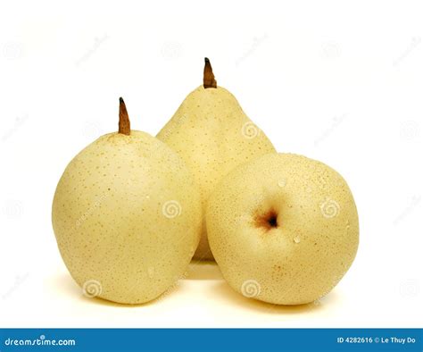 Three Yali Pears Stock Photo Image Of Organic Healthy 4282616