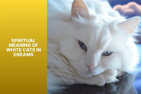 Unveiling The Spiritual Significance Of White Cats In Dreams