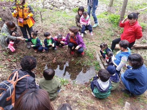 전국매일 북부지방산림청 공동기획 1 정부30 통한 수요자 맞춤형 산림복지 서비스 제공 전국매일신문 전국의 생생한