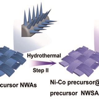 Schematic Illustration Of The Synthetic Process Of Nico S Nico S