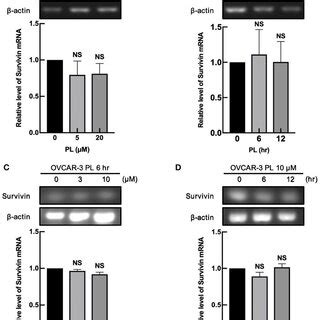 Pl Downregulates The Expression Of Survivin In Ovarian Cancer Cells