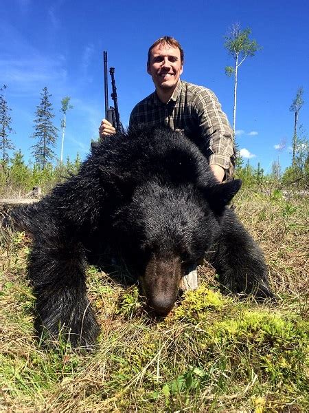 Black Bear Hunting In Canada For Non Residential Alphadog Outdoors