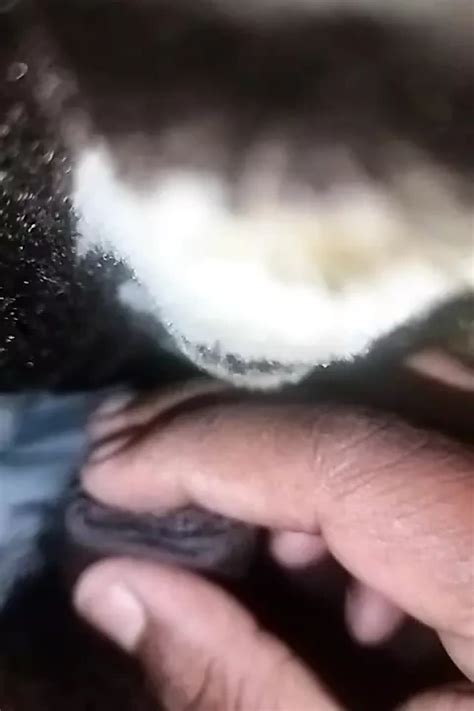 Masterbating Gay Solo Solo Porn Feat Loveprince XHamster