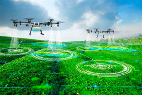 Usan Drones Y Anal Tica Para Maximizar La Producci N Agr Cola Mundo