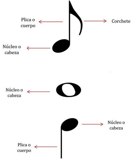 Partes De Una Nota Musical Notas Musicales Musical Notas Musicales