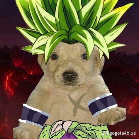 Broly Dog Dragon Memes Dog Icon Anime Dragon Ball