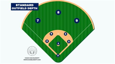 The 9 Baseball Positions: A Complete Guide - Numbers, Body Types ...