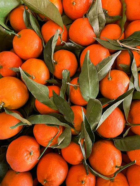 Orange Fruits · Free Stock Photo